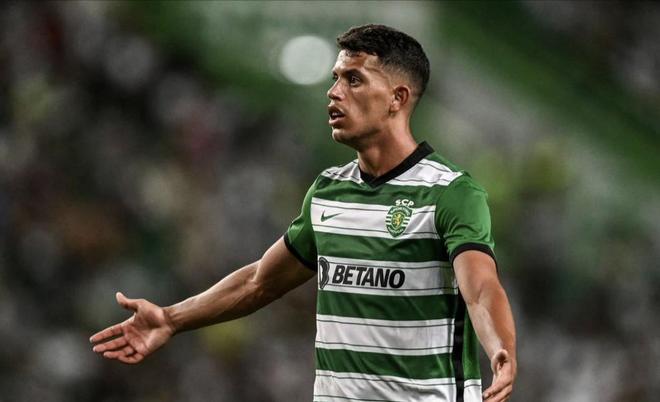 的应对策略 的应对策略