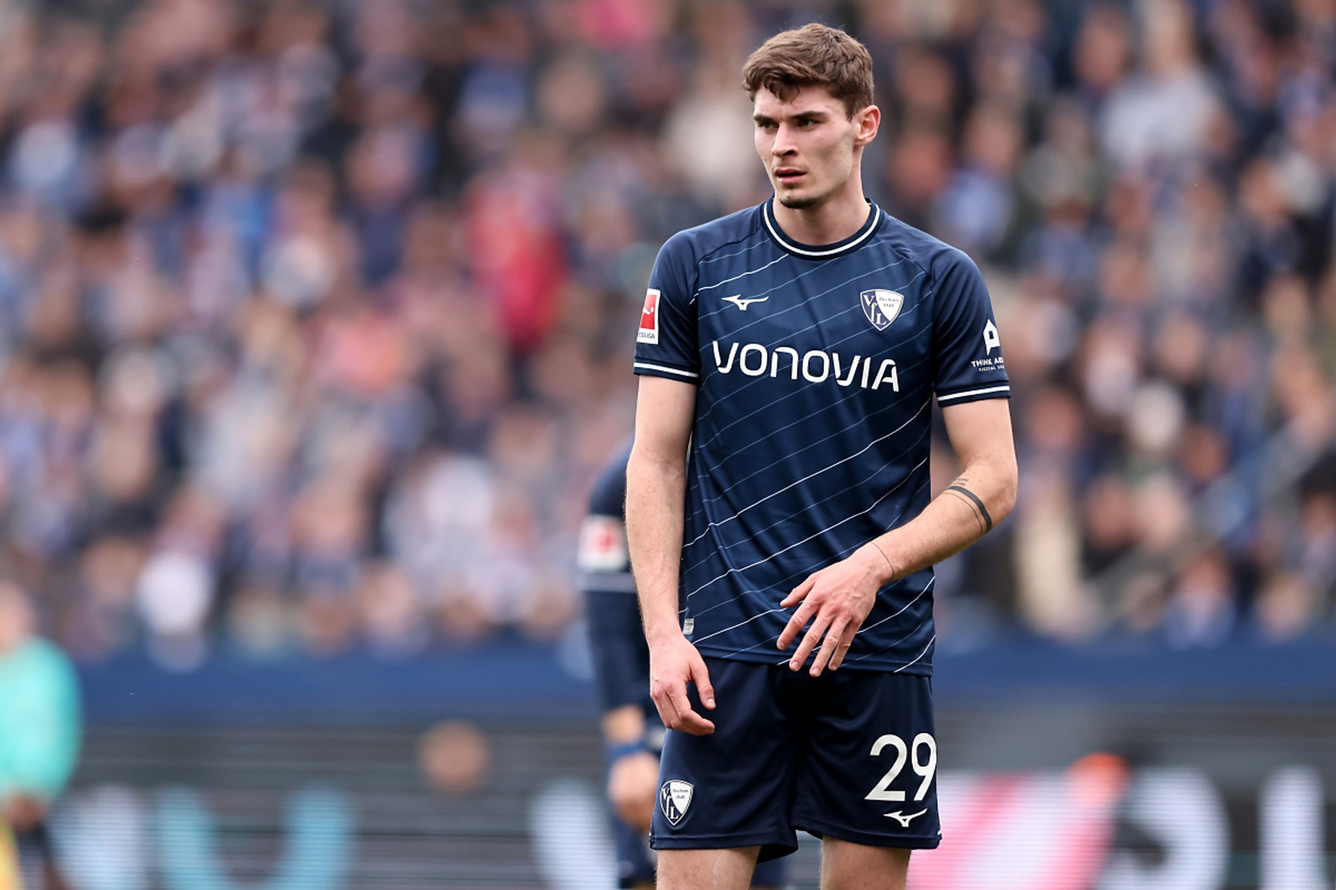 则凭借顽强 则凭借顽强